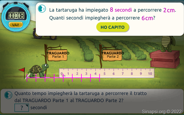 La tartaruga insegna le proporzioni