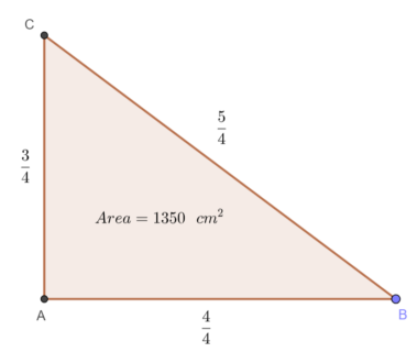 triangolo rettangolo